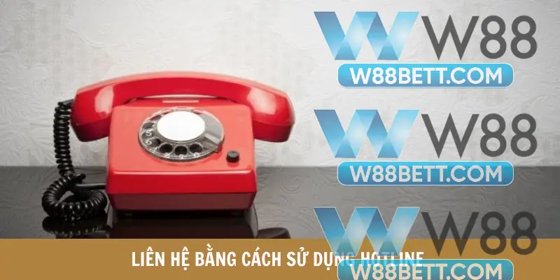 Thời gian phản hồi thắc mắc bằng hotline rất nhanh chóng 