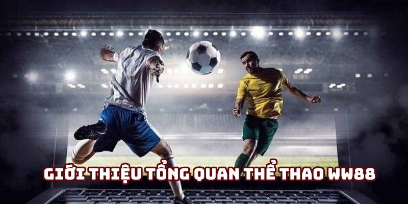 Nắm rõ sân chơi thể thao WW88